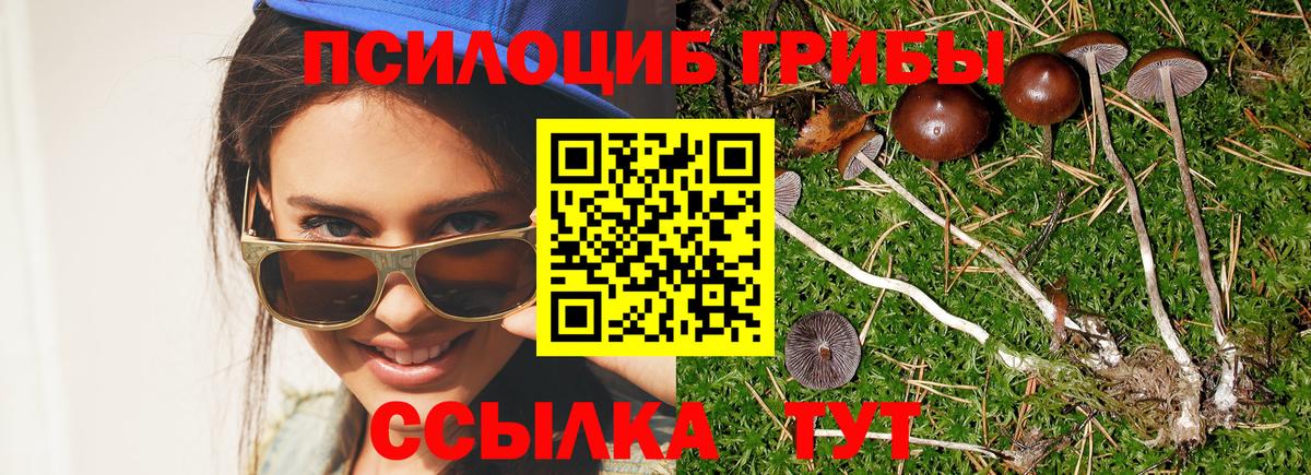 Галлюциногенные грибы прущие грибы  Вход с VPN  Губаха 