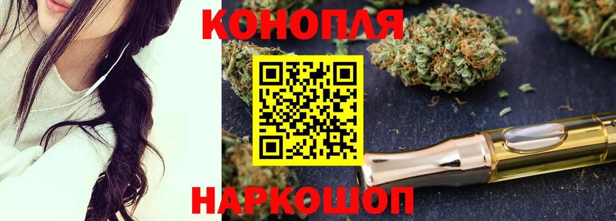 Каннабис план Губаха